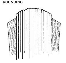spines